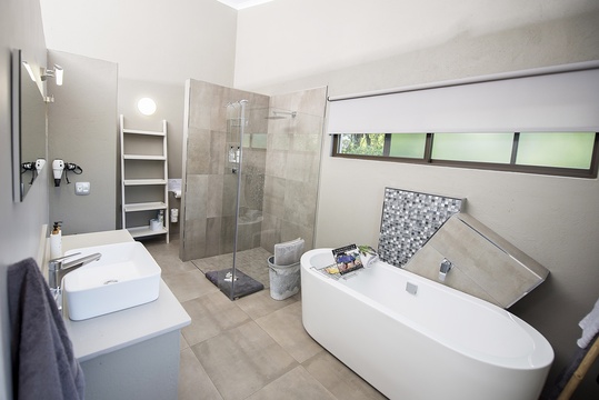 Bath Shower Toilet, one-bedroom apartment